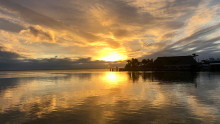 Reflections Key Largo_Brian and Jen Wicks_YOLO.jpeg