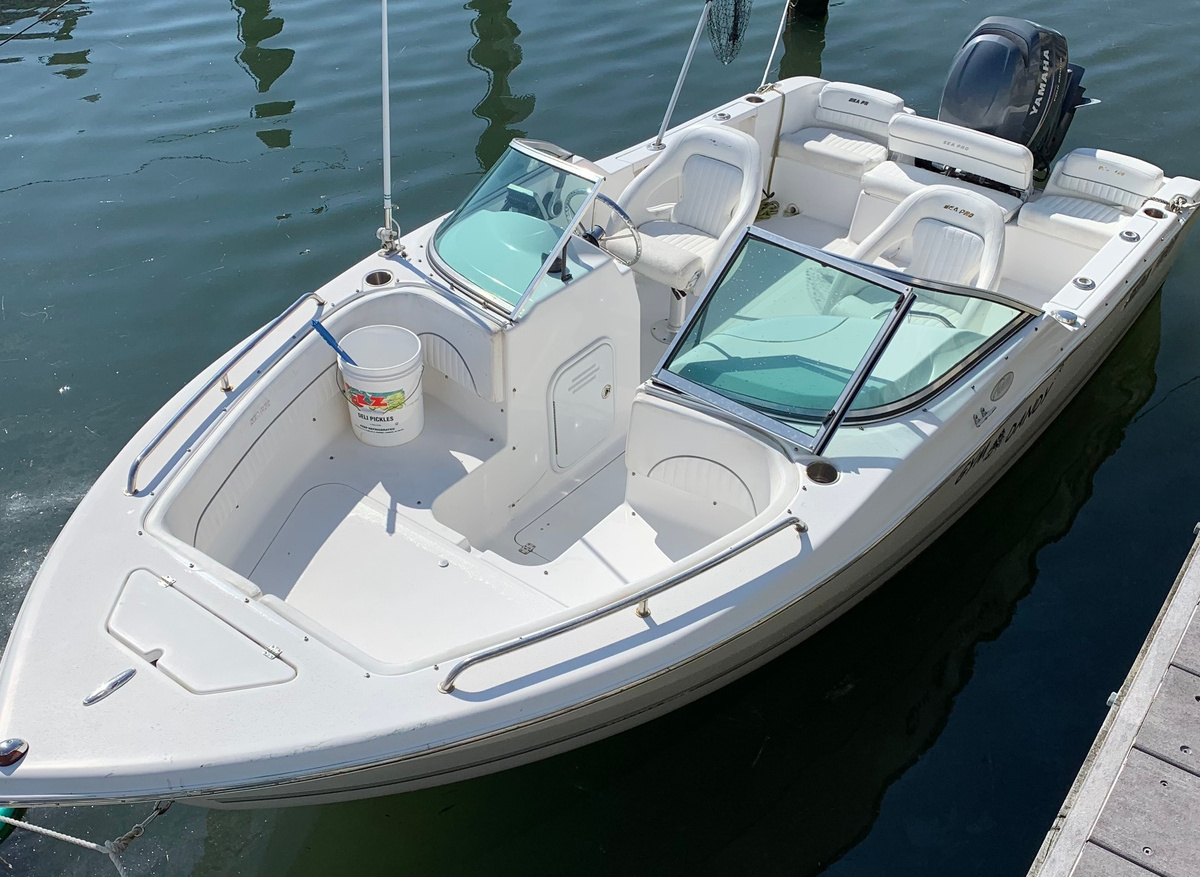 Image of 21' Sea Pro 2006