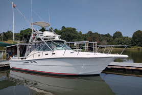 Image of 2005 Rampage 38'  